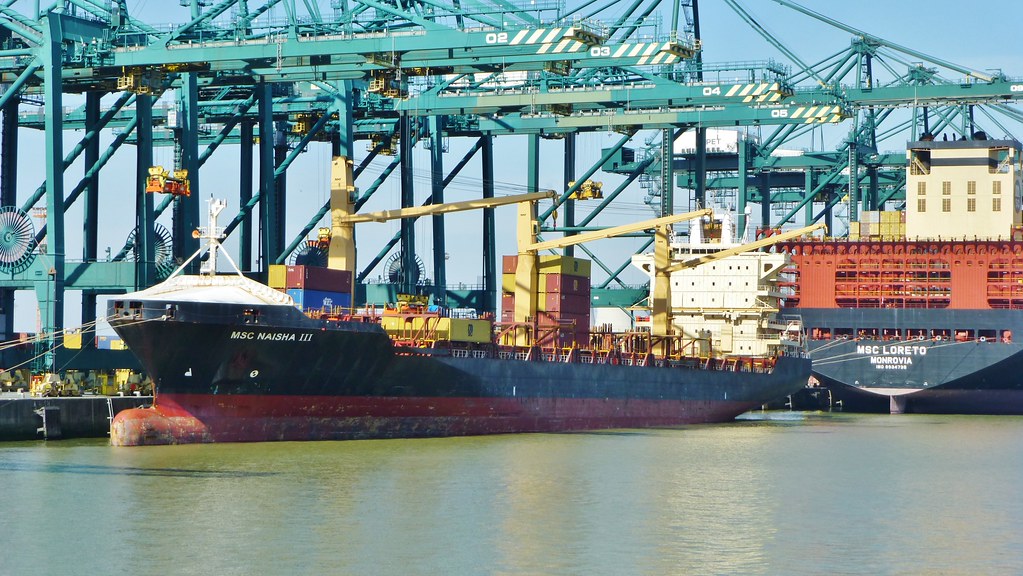 Schepen aan de containerterminal in Antwerpen